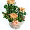 Aromas: Fragancias para Todos