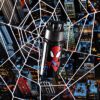 Botella de Agua Spiderman para Niños 14oz